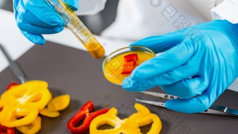 餐饮加盟品牌排行榜：揭秘其含金量的关键因素
